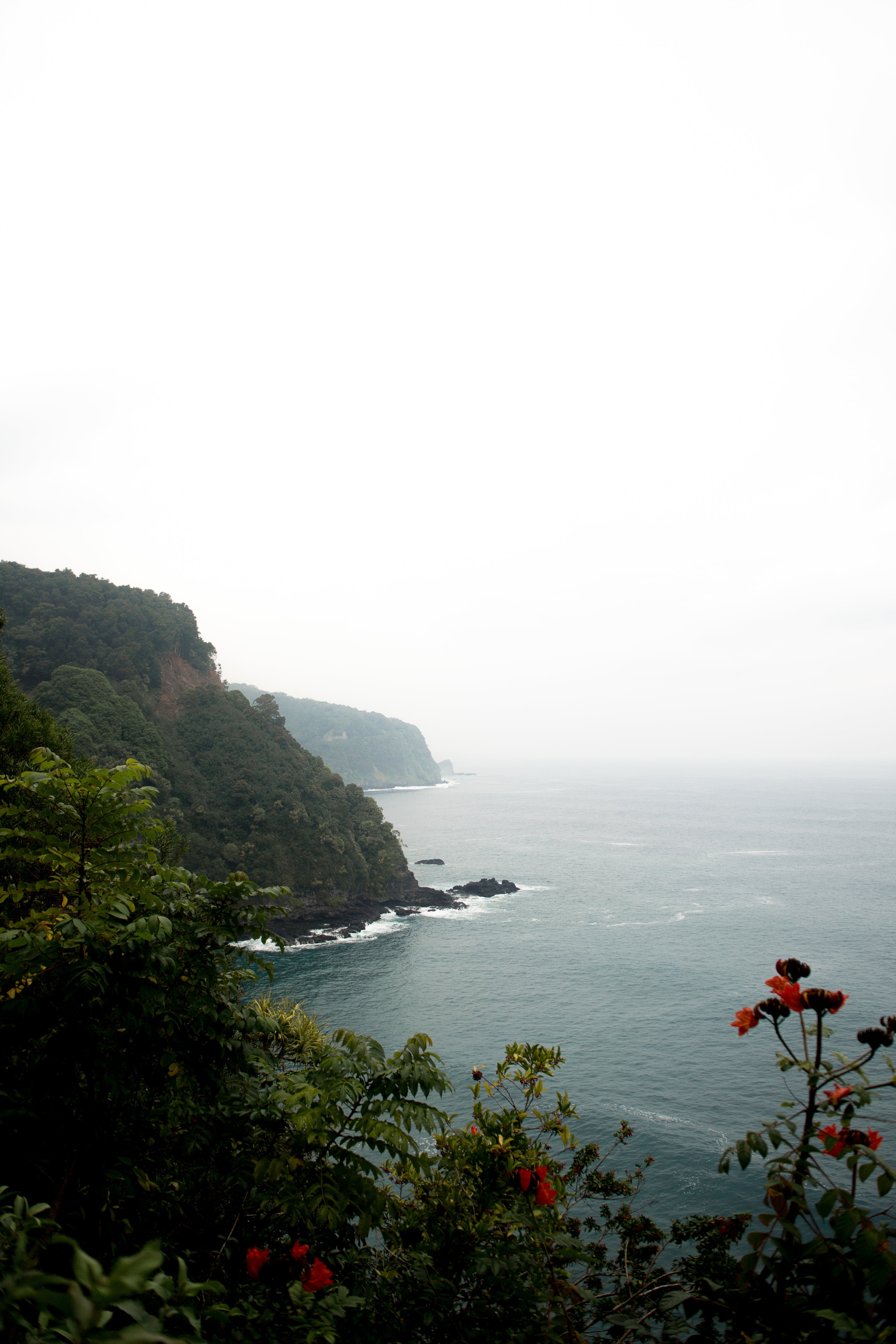 The Coastal Collection