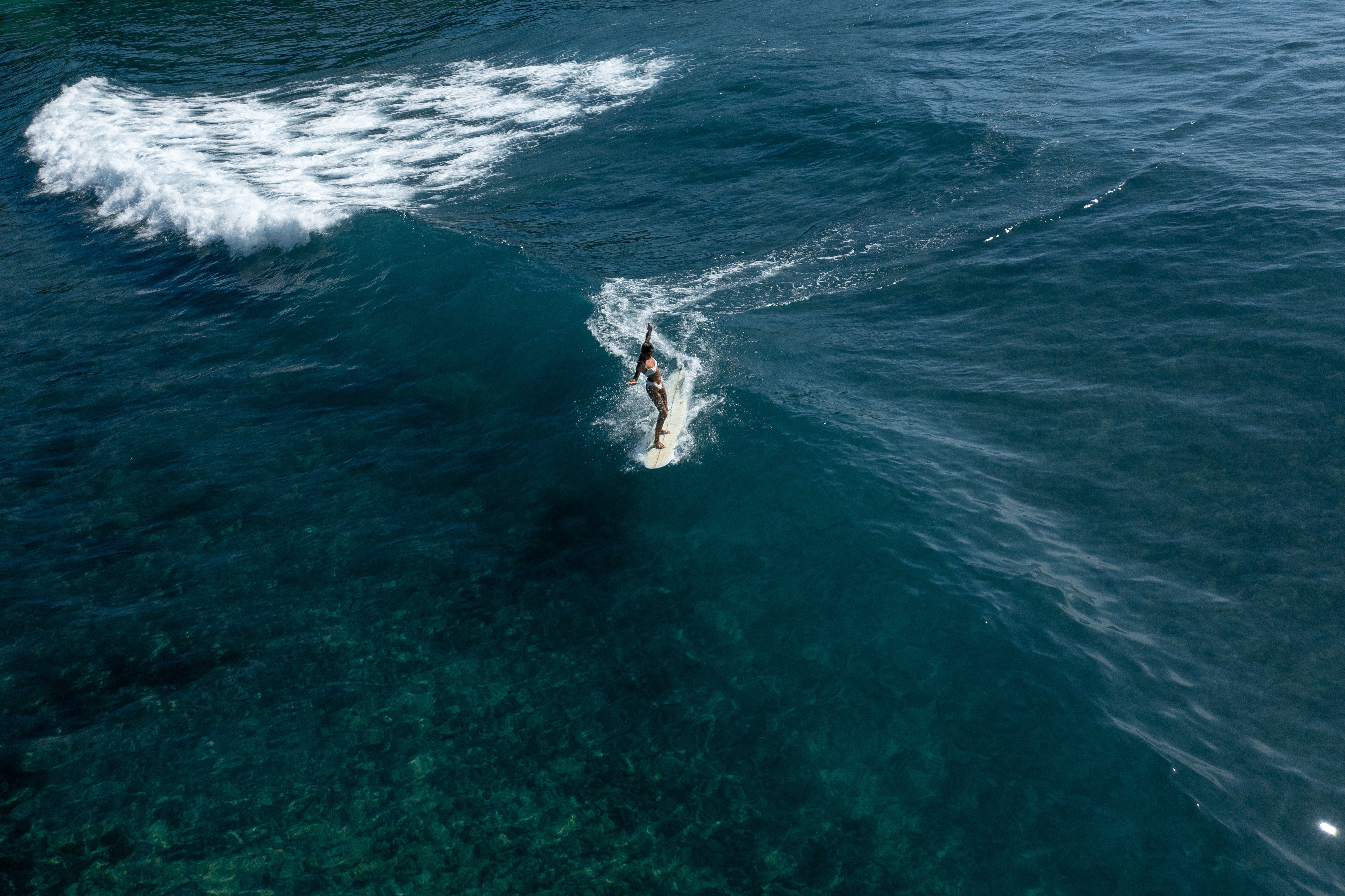 The Surf