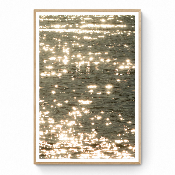 The Sunlight