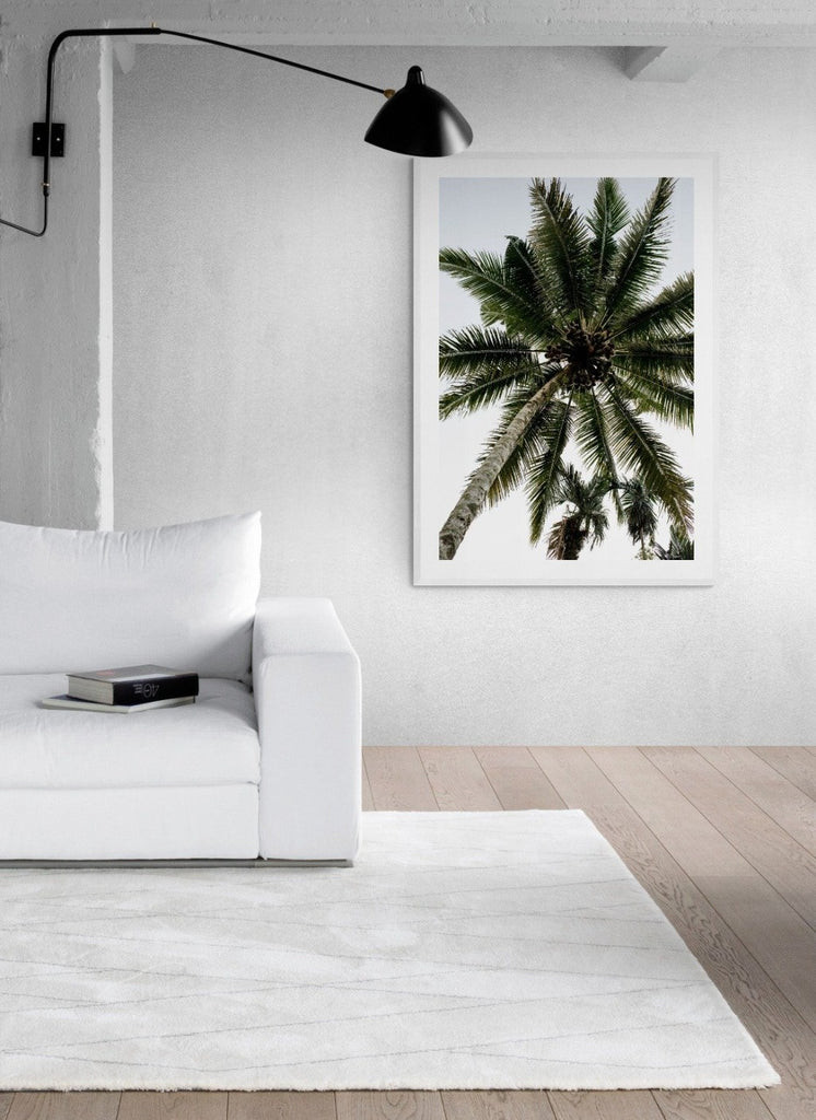 frame photo of palm tree and coconuts displayed on wall of modern living room with white couch and light oak floor